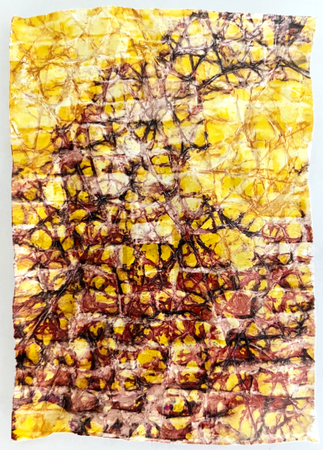 Psychogeophysics exploration #5, 2026
